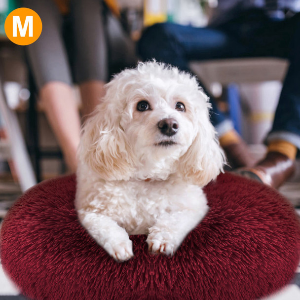 Pet Dog Bed Soft Warm Fleece Puppy Cat Bed Dog Cozy Nest Sofa Bed Cushion M Size Pet Dog Bed Soft Warm Fleece Puppy Cat Bed Dog Cozy Nest Sofa Bed Cushion M Size