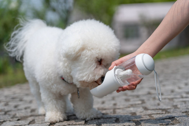 Pet Life ® 'PYURE' Handheld Travel Filtered Water Feeder