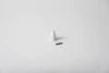 Photo of Model 450 Shaft Rider Replacement Tips, E21117-1