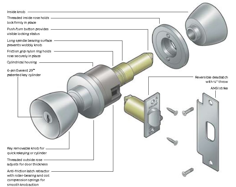 d-series-additional-info.jpg