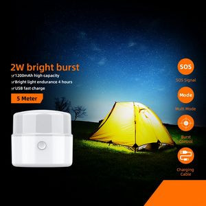 Custom 200LM Hangable Camping Lantern and LED Light, Rechargeable 1200mAh Battery - FL-T20-OCEAN