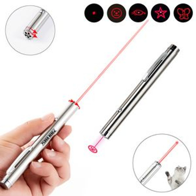 Custom Pen Shaped Pet Playing Flashlight - N090313