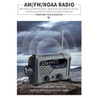 Custom ResQ Emergency Tool AM/FM/NOAA Weather Radio With LED Flashlight, Reading Lamp, SOS Siren Power Bank - OTD-290WB-OCEAN