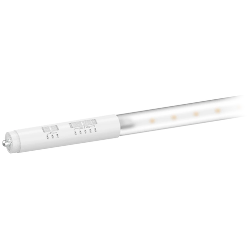 RAB Lighting T8-96G-DE-BYP-C LED T8 Double-Ended Clear Glass Tube, 8 Ft., 24/32/40W, 3000K/3500K/4000K/5000K/6500K