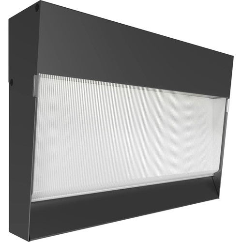 RAB Lighting C-WALLM Medium LED Wall Pack, Field Adjustable Wattage (40/60/75W) and CCT (3000K/4000K/5000K), Bronze