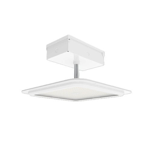 RAB Lighting MASI16 16" x 16" LED Canopy Light, 120-277V, 100/120/150W, Selectable CCT (3000K/4000K/5000K), White