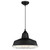 Westinghouse 6104900 Academy LED Indoor Pendant, Black Finish with Removeable Chrome Cage