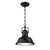 Westinghouse 6578700 Orson Dimmable LED Outdoor Pendant, Textured Black Finish with Frosted Prismatic Lens