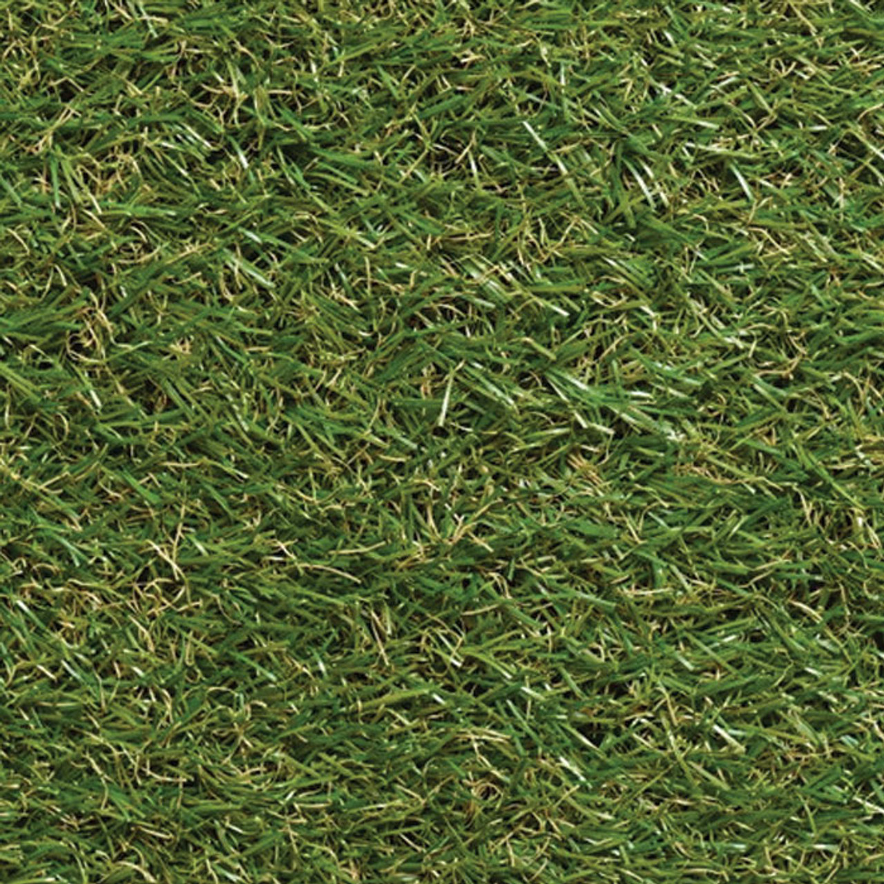 Artificial Plastic Grass Outdoors