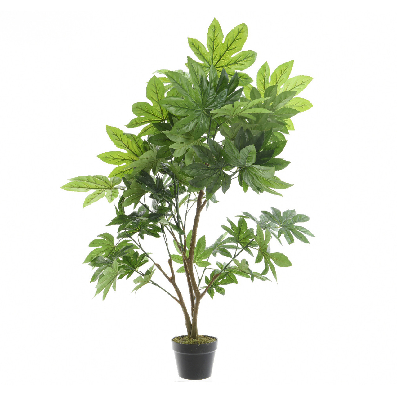 Faux Aralia In Pot Plastic