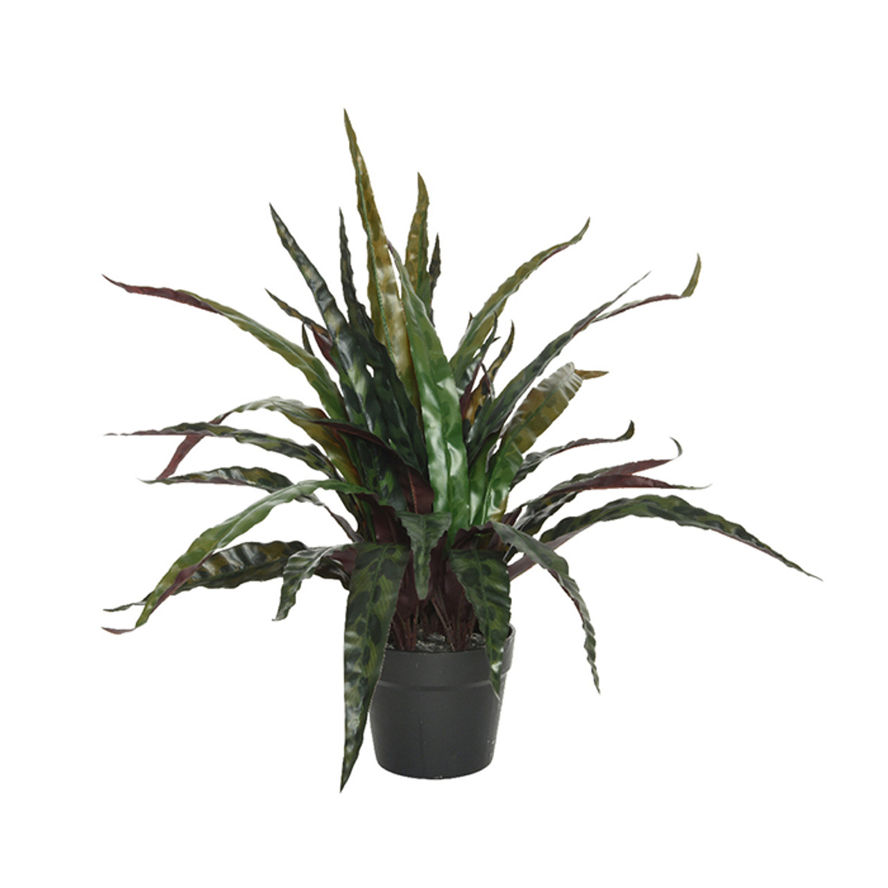 Faux Calathea In Pot Plastic