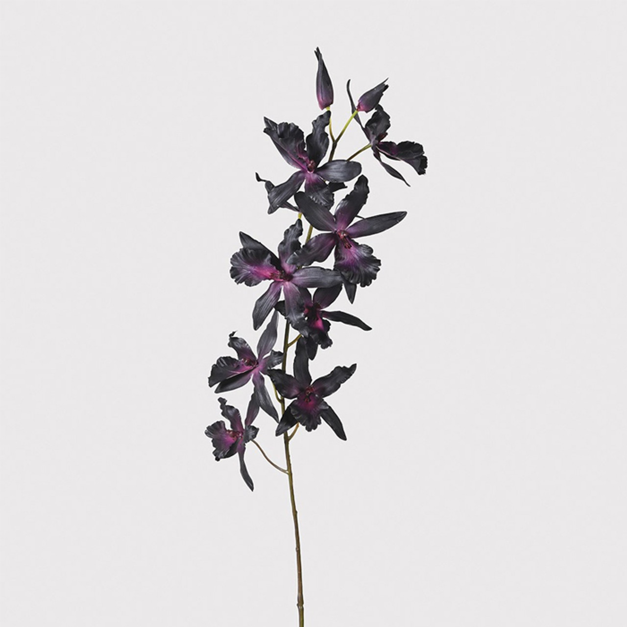 Dark Purple Indicium Orchid Spray