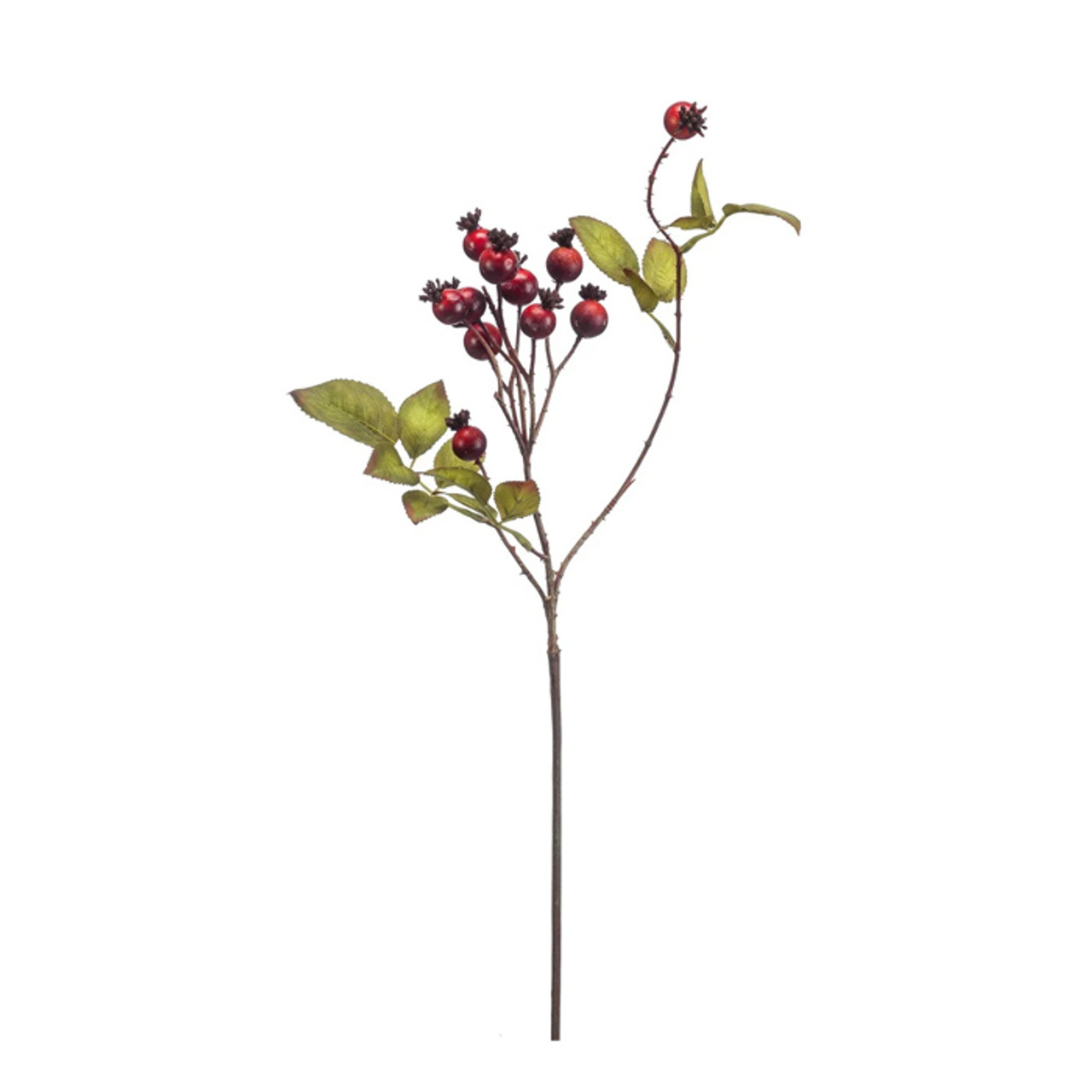 Rose Hip Spray Red 70cm