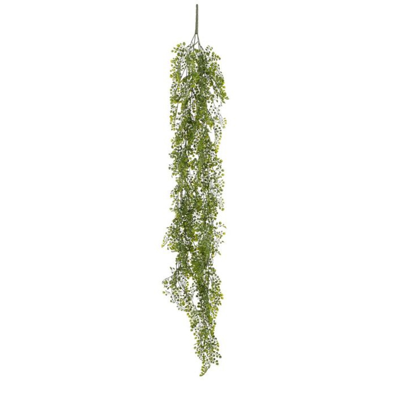 Adiantum Hanging Green 116cm