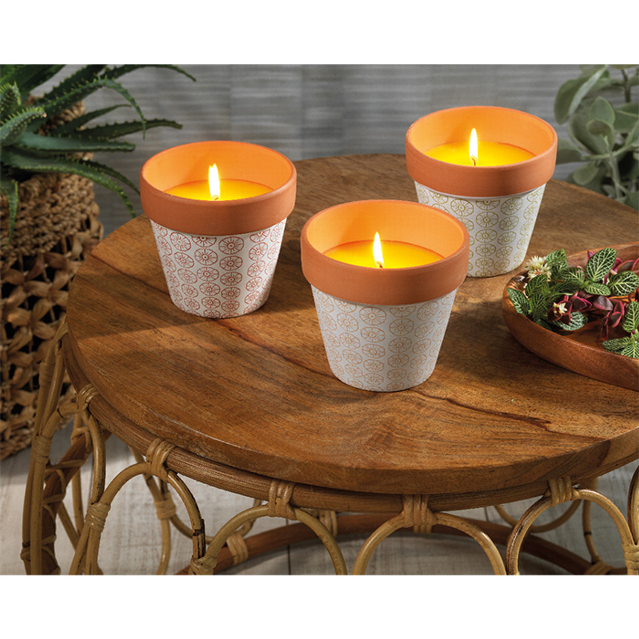 Citronella Candle Wax in Terrac *in-store