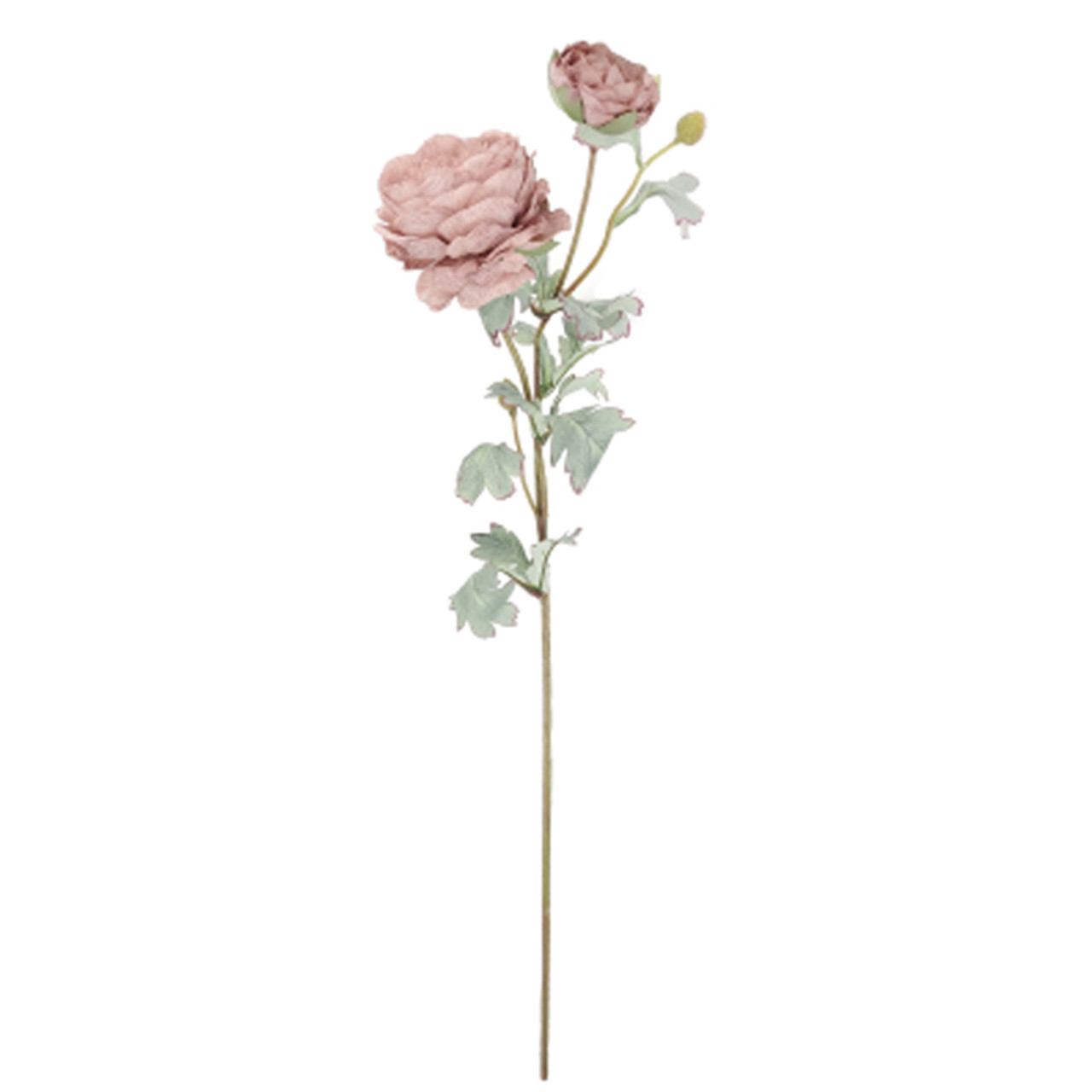 Bisque Peony 72cm *3 FOR €18