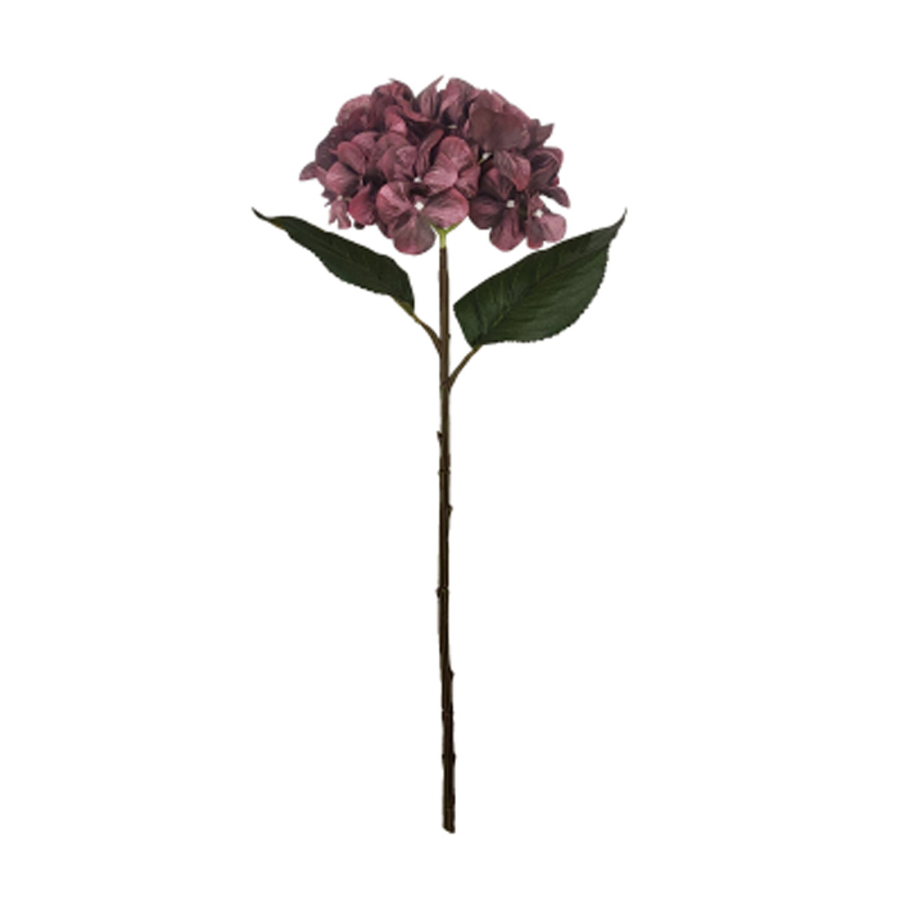 Bordeau Hydrangea 54cm *2 FOR €18