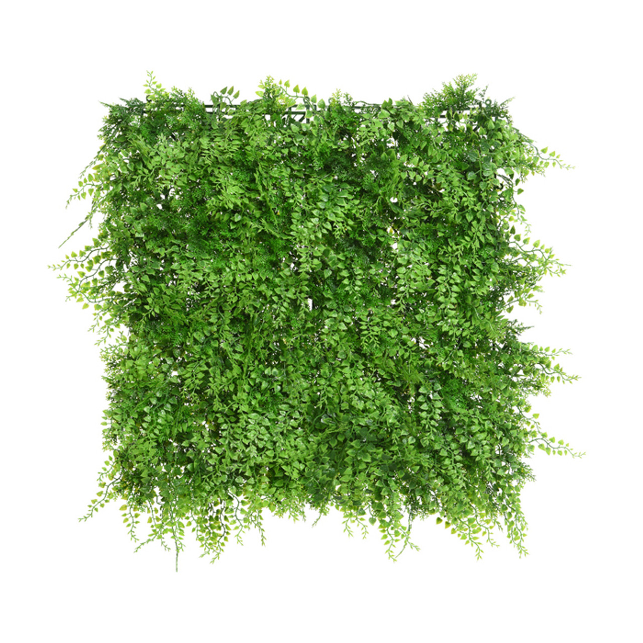 Panel Plastic Fern