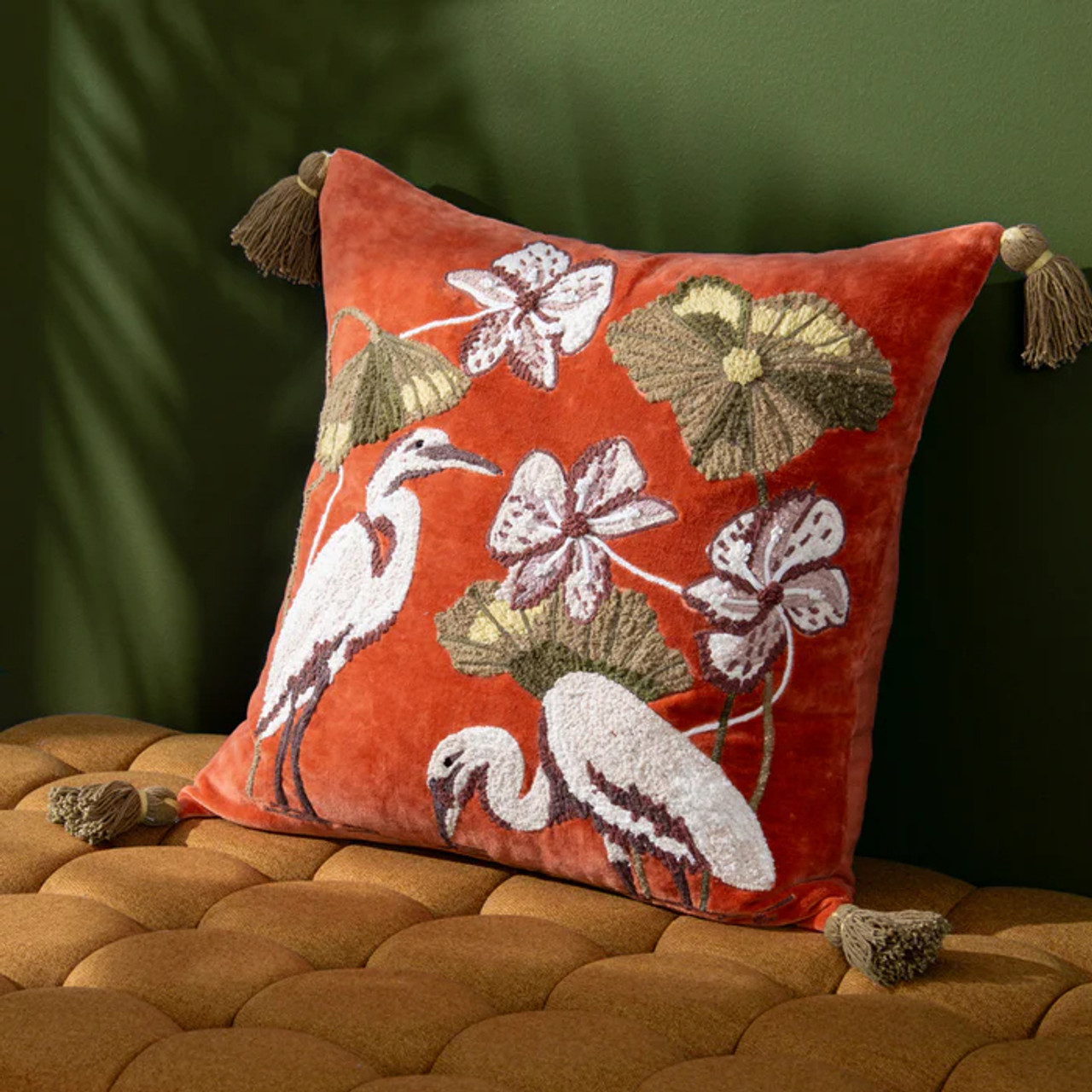 Kushiro Cushion Coral