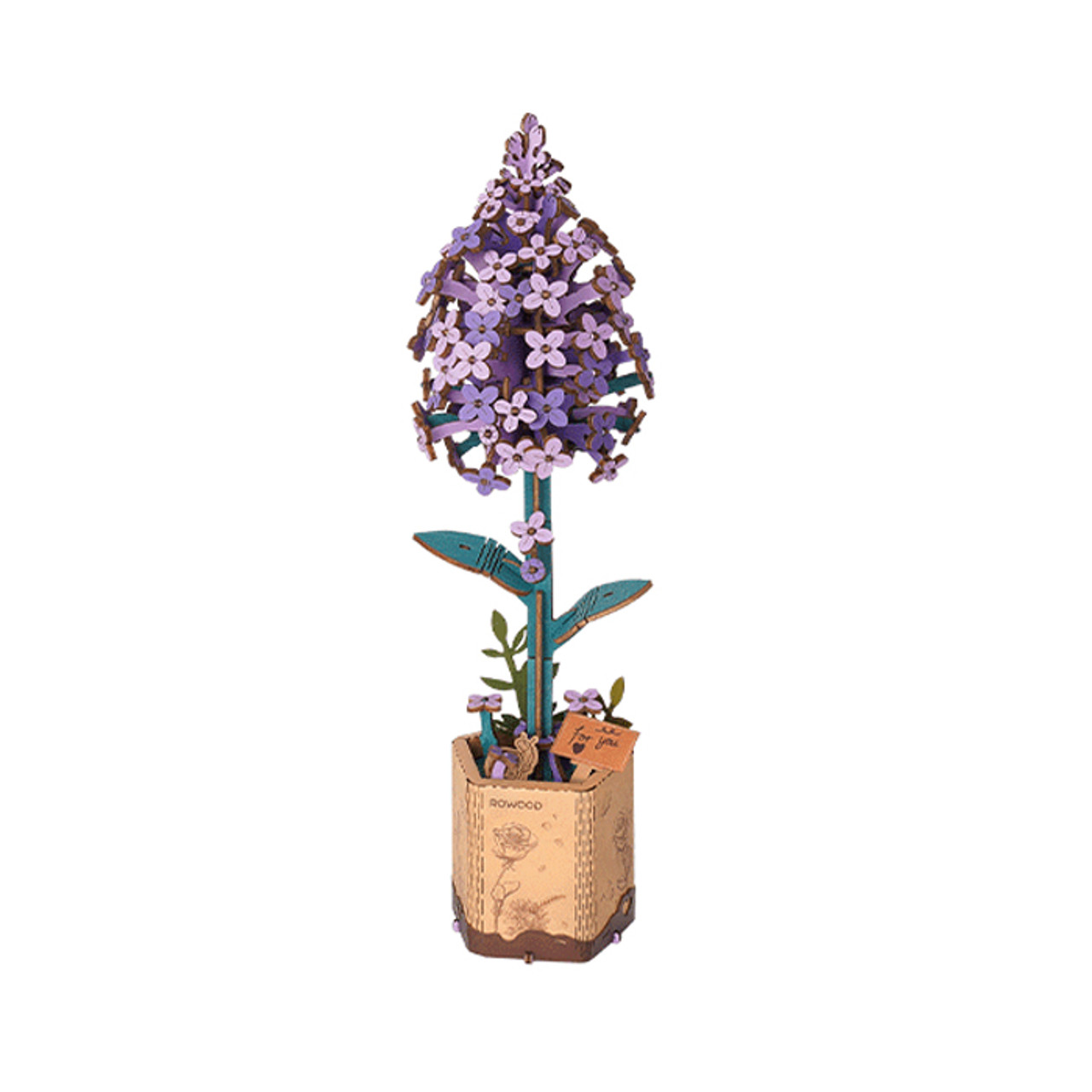 Lilac DIY Model Kit *in-store