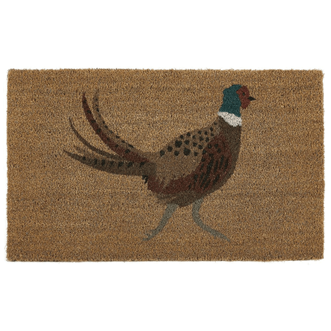 Pheasant Coir Mat 23x53cm