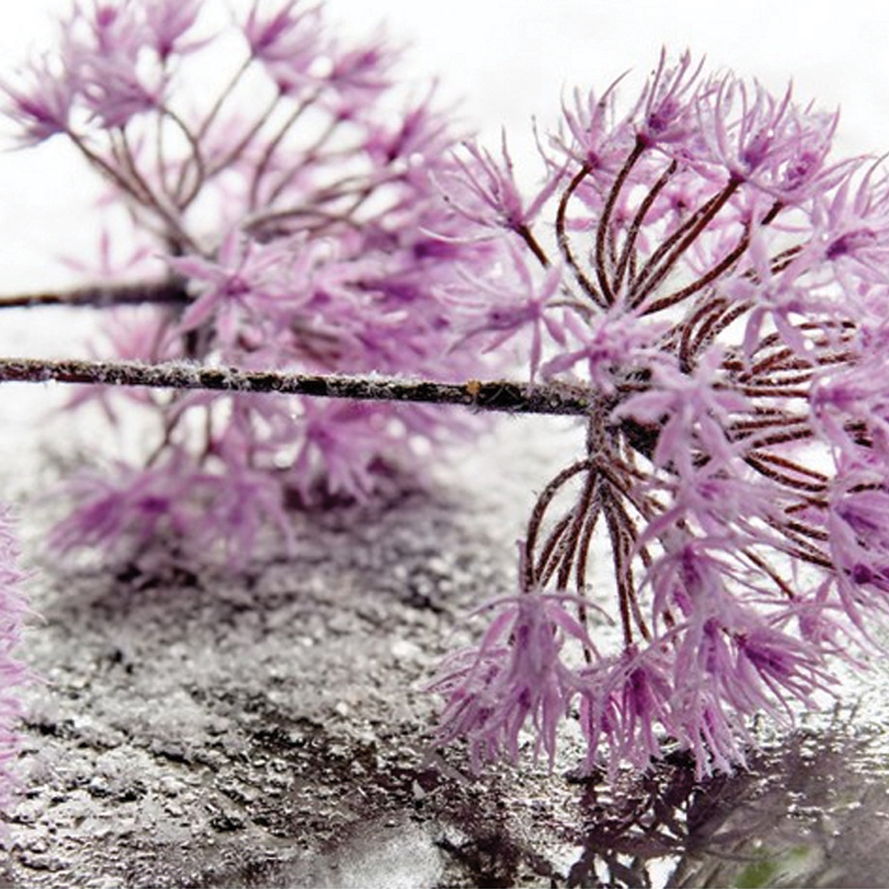 Christmas Flower Ball Spray - 80cm Lilac with 3 flower balls