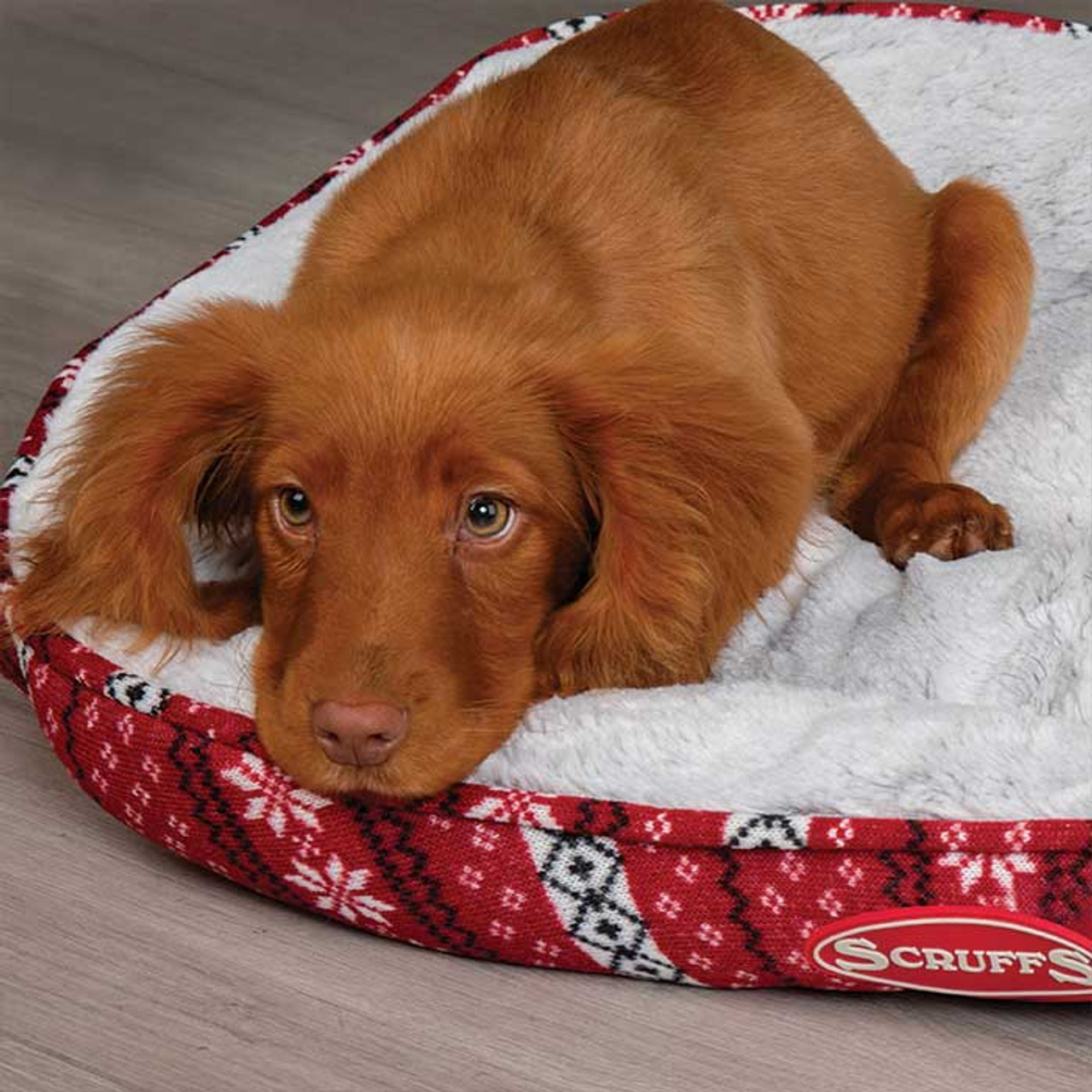 Scruffs Santa Paws Box Bed (M)