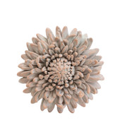 Serafina Flower Terracotta 3cm