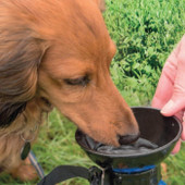 Aqua Pet Drinking Bottle