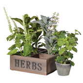 Set of 4 Assorted Herbs in Cement Garden Pots Displayed in Wooden Tray