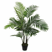 Areca Palm in Pot 120cm *in-store