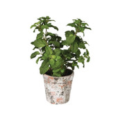 Faux Green Mint Plant in Pot