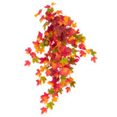 Maple Leaf Hanging Bush 154L