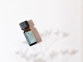 Tea Tree 100% Pure Essential Oil *in-store