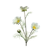 Coreopsis On Stem Polyester