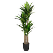 Dracaena Artificial Plant  H150 x D60 cm