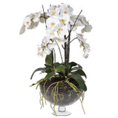 Faux White Orchid Phalaenopsis Plants in Glass Footed Bowl