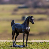 Arabian Horse 30x9x33cm*in-store