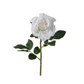 Rose On Stem White *2 For €13