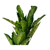 Faux Plant Dieftenbachia Leaves