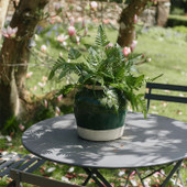 Billie Green and Stone Urn