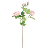 Bisque Rose 70cm *3 FOR €18