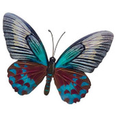 Bright Butterfly Wall Art Teal