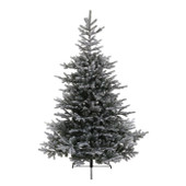 Snowy Grandis Fir Christmas Tree 6.8ft