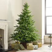 Grandis Fir Easy Up Christmas Tree 10ft
