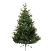 Arlberg 7ft Christmas Tree (Pre Shaped Tree- Easy Assembly)