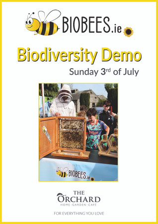 Biodiversity Demo at The Orchard this Sunday 3rd July