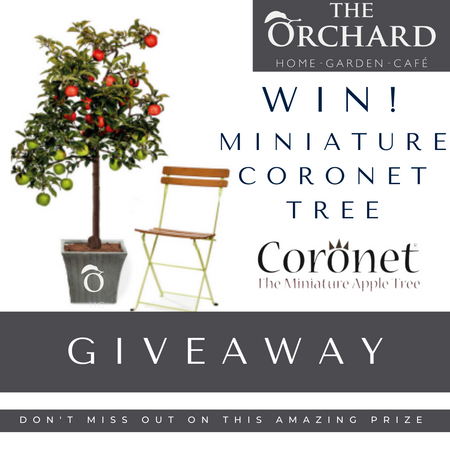 Competition Time! WIN A Family Coronet Miniature Apple Tree