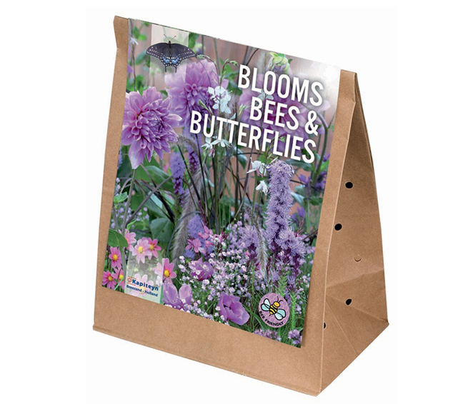 summer-bulbs.jpg summer-bulbs.jpg