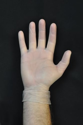 Vinyl Exam Gloves Powder-Free Case/10 Boxes   X-Large B731-1008D